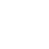Weißes Icon Haus mit Energiemanager